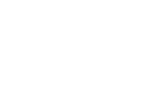 VRbizz Immersive Solution